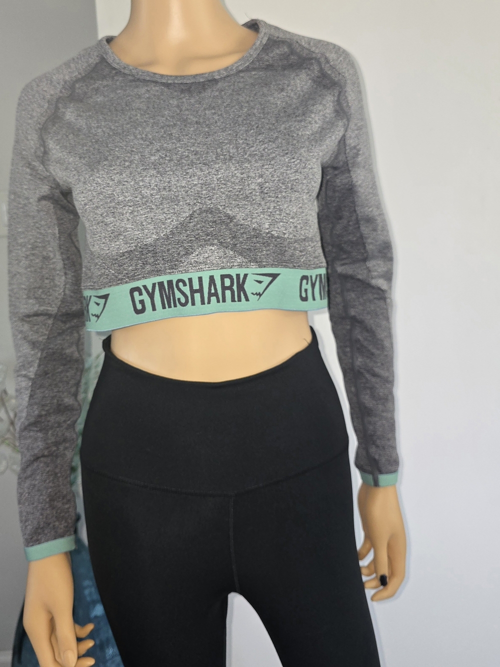 Gymshark Gray Cropped Long-Sleeve Top with Mint Band